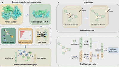 TopoQA: a topological deep learning-based approach for protein complex structure interface quality assessment featured image